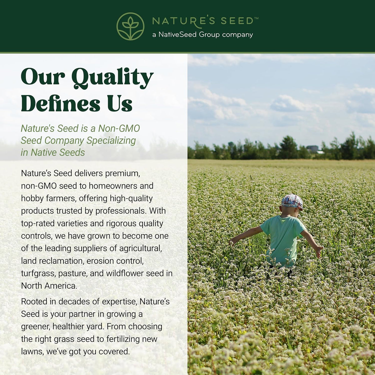 Nature’s Seed Common Buckwheat Seeds for Planting, Wildlife Food Plot, Cover Crop, Green Manure, Pasture, 5 Lbs
