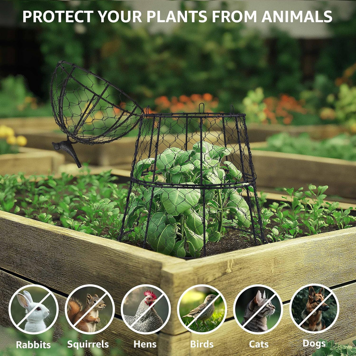 Pack of 10 Heavy-Duty Chicken Wire Plant Cloches – Rustproof Garden Protectors and Plant Cages for Vegetables and Flowers – Safeguard Plants from Deer and Critters – 20” x 12”