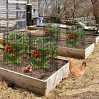 6 Sets of 24'' x 12'' Garden Plant Protectors from Animals with Detachable Covers, Metal Plant Cage Chicken Wire Cloche with Ground Stakes and Nylon Tie, Wire Plant Cage to Keeping Bunny Animals Out