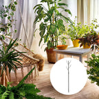 uxcell 4 Pcs Plant Support Stakes, 27.5" Twig Plant Stem Support Structures Garden Branches Plants Supports for House Potted Monstera Plants, Brown