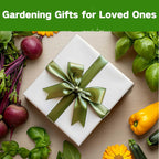 Lush&Dew USDA Zone 3 Seed Bank, Gardening Gifts for Women Men, 32 Varieties Non-GMO Heirloom Seeds for Planting Vegetables Fruits, Year Round Survival Seed Kit for Raised Garden Bed Greenhouse