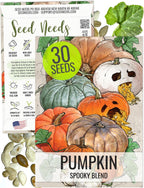 Seed Needs Spooky Blend Pumpkin Seeds - 30 Heirloom Seeds for Planting (Lumina White, Jack O Lantern, Baby Boo, Blue Jarrahdale, Cinderella & More!) Non-GMO & Untreated (1 Small Pack)