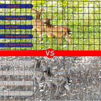 Black Metal Garden Fence, 60inch(H) x 100ft(L), 2 inch x 3 inch,14GA 2/3/4/5/6 Ft Tall Chicken Wire PVC Coated Welded Wire Mesh Roll for Dogs Border Yard Vegetable Plant Protection Poultry Netting