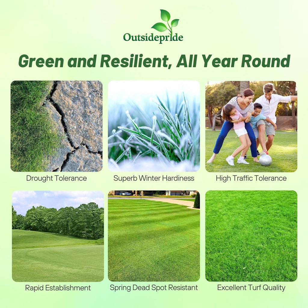 Outsidepride Yukon Bermuda Grass Seed - 5 lbs Cold & High Traffic Tolerant, Premium Hybrid Bermuda Turf Grass Seeds for Lawn, Ideal Low Maintenance Seed Grass for Colder & Challenging Area