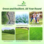 Outsidepride Yukon Bermuda Grass Seed - 5 lbs Cold & High Traffic Tolerant, Premium Hybrid Bermuda Turf Grass Seeds for Lawn, Ideal Low Maintenance Seed Grass for Colder & Challenging Area