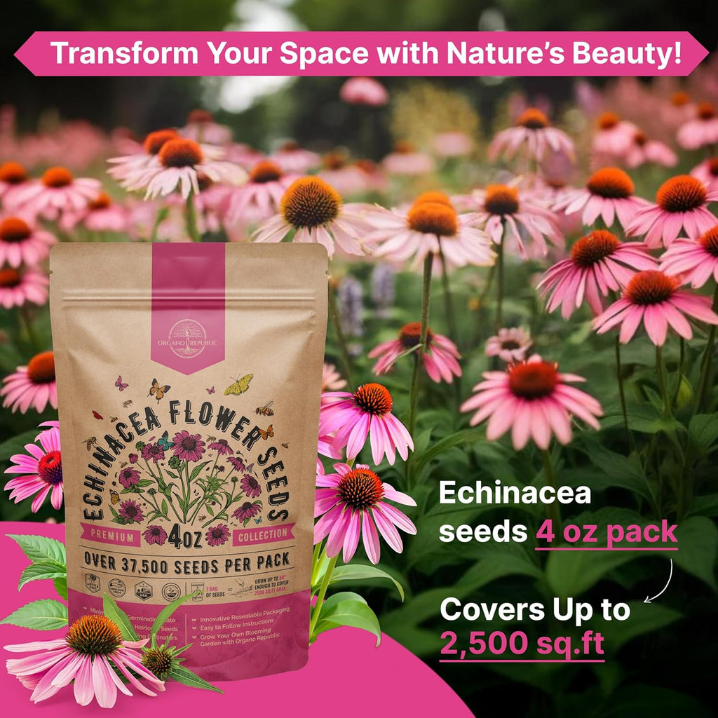 Organo Republic Echinacea Seeds Pack 4 oz - Over 37,500 Non-GMO Heirloom Echinacea Seeds for Planting, Perennial Flowers in Individual Packet, Coneflower for Planting Indoor & Outdoors