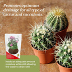 Professional Cactus Soil | Large 2.2 Quarts Ready to Use for Cactus Plants | Peat Moss, Coco Coir, Perlite, Dolomite | Made in USA