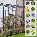 Half Sided Garden Arch, 47.24’’x94.5’’ Arbor Trellis, Garden Arch Trellis for Climbing Plants Outdoor, Arbor for Flower, Climbing Vine Vegetable, Fruit, Home Yard and Lawn(Black)