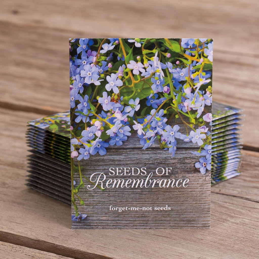 Bentley Seed Co. | Seeds of Remembrance | Pre Filled Non-GMO, Non-Coated Forget Me Not Seeds Packets | Perfect Memorial Service Giveaways and Celebration of Life Decorations | Pack of 25