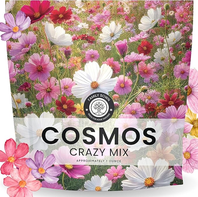 Crazy Cosmos Mix - Large 1 Ounce Packet - 5,000 Flower Seeds for Planting - Cosmos bipinnatus