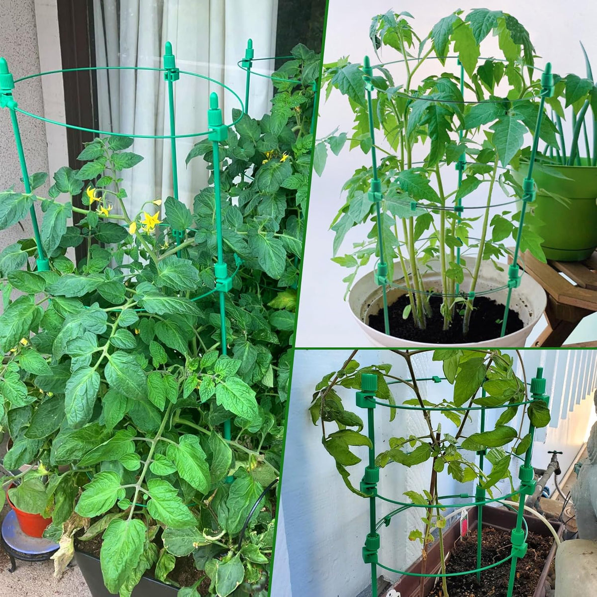 4 Pack Adjustable Tomato Cages, 36 Inch Plant Support Garden Trellis for Tomatoes, Cucumbers, Vegetables, Flowers, Roses & Climbing Vines – 4 Adjustable Rings for Sturdy Growth