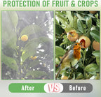 Fruit Tree Netting, Blueberry Bush Netting Cover for Garden Protection, 4Pcs 4x4.9 FT Garden Plant Netting Pest Barrier for Raised Beds for Strawberry, Tomato, Bug Mesh Net from Bird, Cicadas