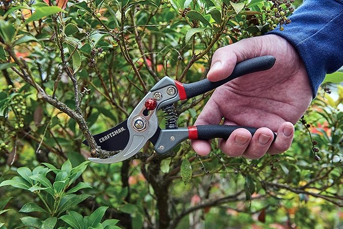 CRAFTSMAN CMXMCBA0700 Bypass Pruning Shears Lightweight Steel, Black