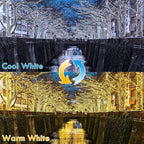 Warm White ⇋ Cool White 66Ft 200LED Fairy Lights Plug in with Remote, Waterproof String Lights Outdoor & Indoor 8 Modes with Timer, LED Twinkle Lights for Girl's Room Halloween Christmas Decorations