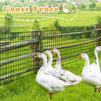 Green Metal Garden Fence, 72inch(H) x 50ft(L), 2 inch x 4 inch,12.5GA 2/3/4/5/6 Ft Tall Chicken Wire PVC Coated Welded Wire Mesh Roll for Dogs Border Yard Vegetable Plant Protection Poultry Netting