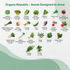 50 Winter Vegetable Garden Seeds Variety Pack - 43,450+ Non-GMO Heirloom Seeds for Outdoors & Indoor Home Gardening, Including Kohlrabi, Lettuce, Radish, Onion, Choy, Spinach, Cauliflower, Collards
