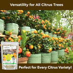 Professional Citrus Fertilizer + Vital Micronutrients; Perfect Balanced NPK for All Citrus; for Indoor and Outdoor Plants; Orange, Lime, Avocado and Lemon Tree Fertilizer (2 QUARTS)