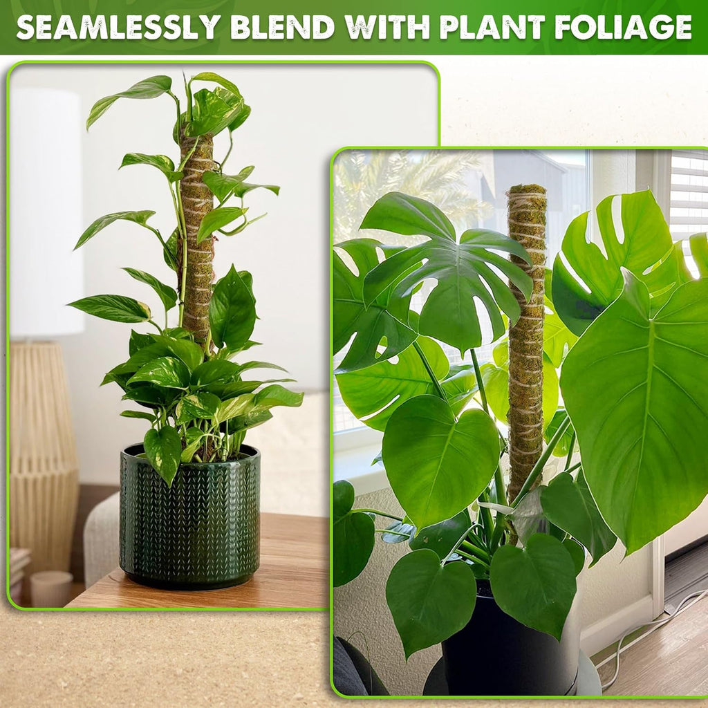 DUSPRO Natural Stackable Moss Pole for Plants Monstera Potted Plant Stakes for Indoor Plants Extendable Plant Pole Moss Sticks for Plants Climbing Vine Supporting Monstera Trellis 4Pcs 22''