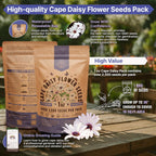 Cape Daisy Flower Seeds Pack 1 oz - Over 2,550 Non-GMO Heirloom Cape Daisy Seeds for Planting, Perennial Flowers in Individual Seed Packet, Seed for Planting Home Garden Indoor & Outdoor Gardening