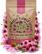 Organo Republic Echinacea Seeds Pack 4 oz - Over 37,500 Non-GMO Heirloom Echinacea Seeds for Planting, Perennial Flowers in Individual Packet, Coneflower for Planting Indoor & Outdoors