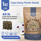 Cape Daisy Flower Seeds Pack 1 oz - Over 2,550 Non-GMO Heirloom Cape Daisy Seeds for Planting, Perennial Flowers in Individual Seed Packet, Seed for Planting Home Garden Indoor & Outdoor Gardening