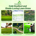 Outsidepride Creeping Red Fescue Grass Seed - 50 Lbs. Cool Season, Soft Textured, Self-Repairing Fine Fescue Grass Seeds for Lawn w/OptiGrowth Coating, Ideal for Dryland Cover Crop & Landscaping