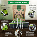 21 Culinary Herb Seeds Variety Pack - Heirloom, Non-GMO, Herb Seeds for Planting Outdoor and Indoor - Home Gardening. Over 11,400+ Seeds Including Rosemary, Thyme, Oregano, Mint, Basil, Parsley & More