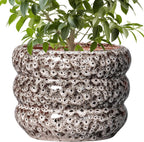 SQOWL Ceramic Pots for Plants - 10 Inch Plant Pot with Drainage Hole, Ceramic Planter for Indoor Plants, Round Flower Pots Outdoor, Modern Planter, House Home Room Decor, Gifts for Plant Lover, White