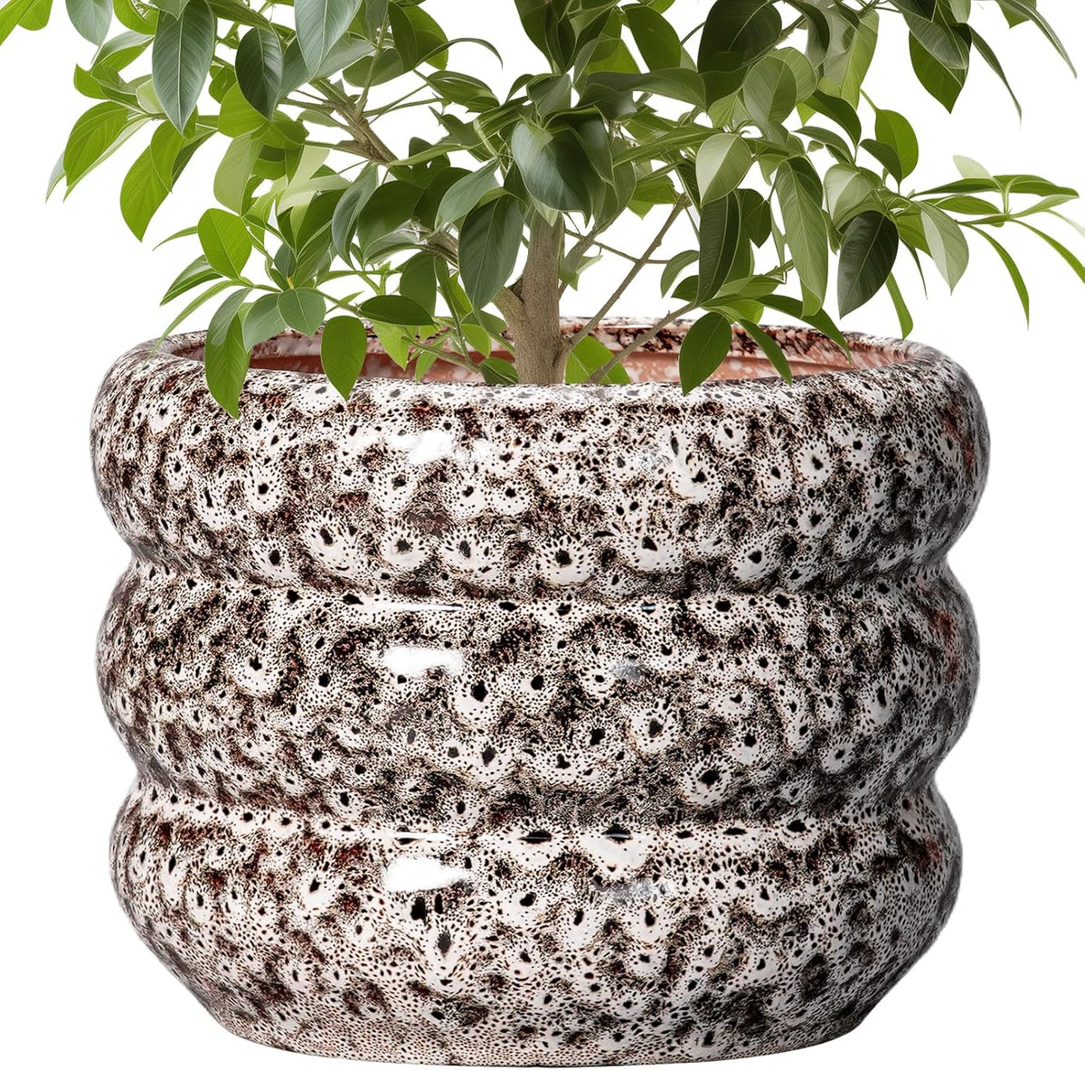 SQOWL Ceramic Pots for Plants - 10 Inch Plant Pot with Drainage Hole, Ceramic Planter for Indoor Plants, Round Flower Pots Outdoor, Modern Planter, House Home Room Decor, Gifts for Plant Lover, White