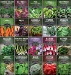 Indoor Garden Vegetables Hydroponic Apartment Garden - Non-GMO Heirloom Vegetable Varieties for Small-Space Patio Garden - Hydroponics-Friendly - Plant Indoors or Outdoors - Survival Garden Seeds