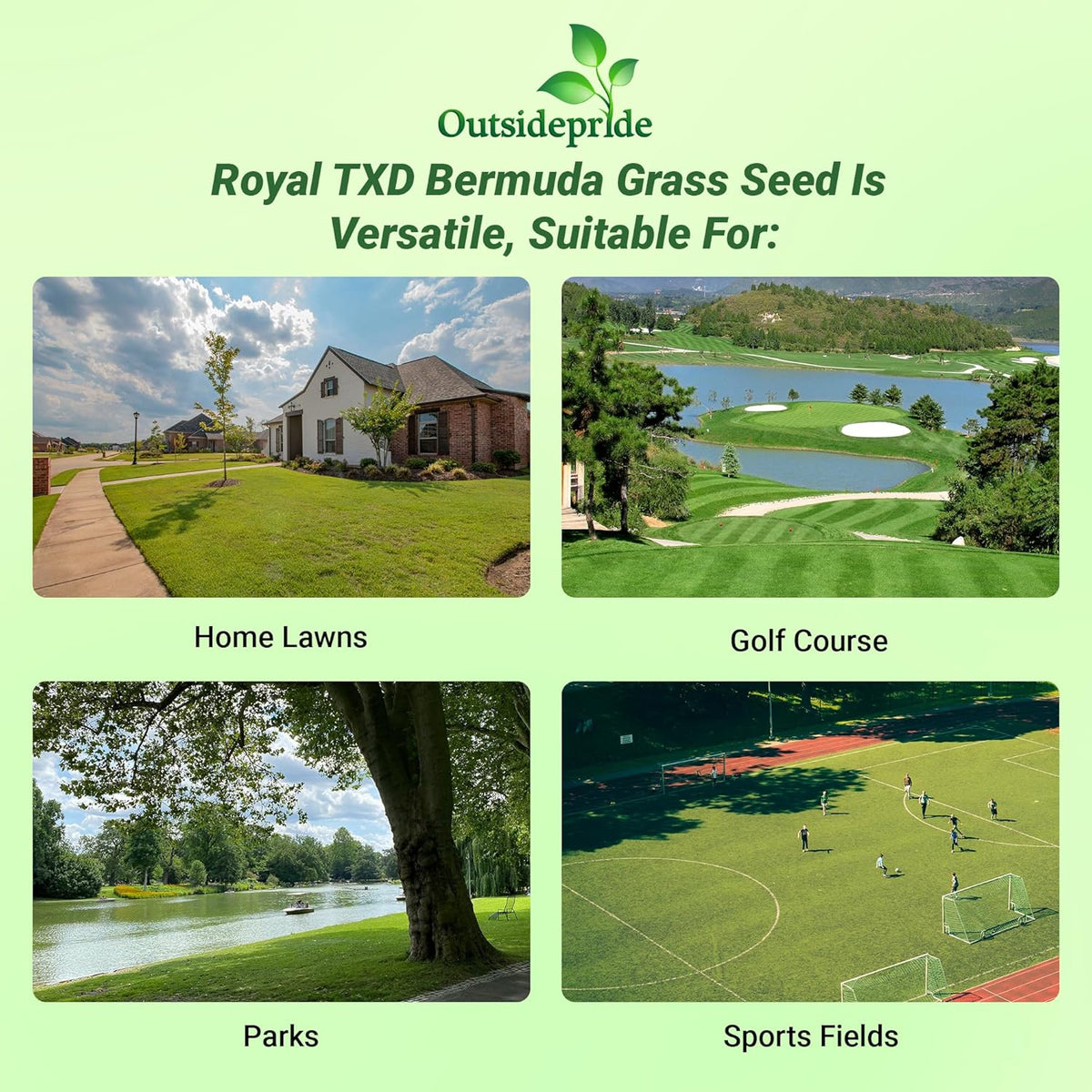 Outsidepride Royal TXD Bermuda Grass Seed Blend - 1 lb. Warm Season, Fast Growing Turf Grass Seeds: Heat & Drought Tolerant, Ideal for Home Lawns & Sports Fields, Dense & Lush Green Coverage